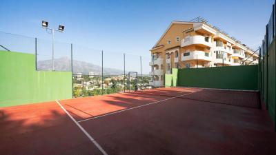 Photo 24