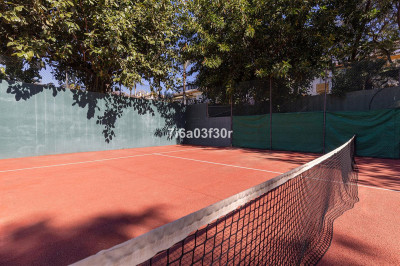 Photo 44