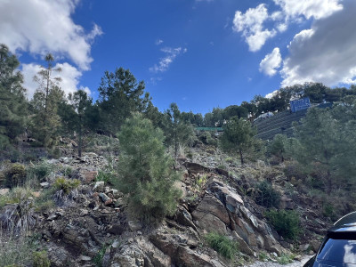 Residential Plot in El Madroñal - Image 2